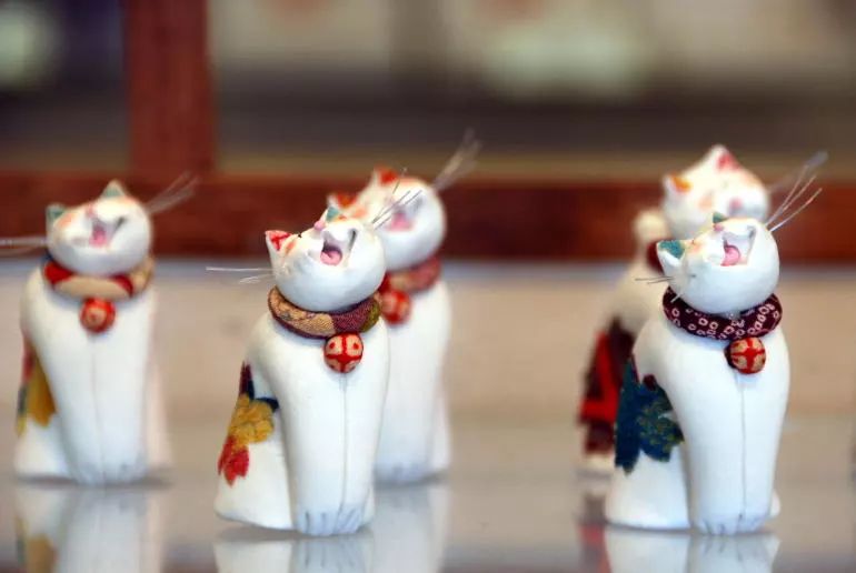 日本这个猫咪神社真的太可爱了，吸引无数猫奴前来朝拜！,作者:仙贝旅行,帖子ID:107,猫,神社,九州,庭园,祠堂