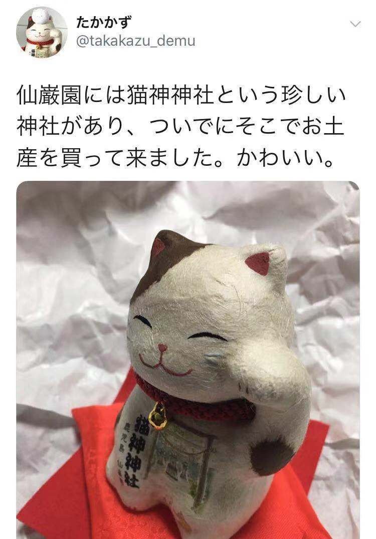 日本这个猫咪神社真的太可爱了，吸引无数猫奴前来朝拜！,作者:仙贝旅行,帖子ID:107,猫,神社,九州,庭园,祠堂